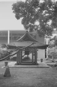 Architecture & Structure photo 0897