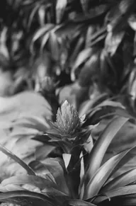 Street & Shadow photo 0837