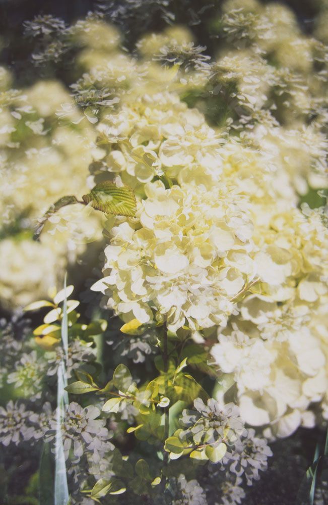 Color & Light — photo 0224
