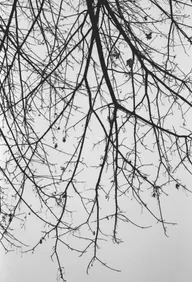 Architecture & Structure photo 0862