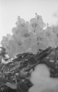 Landscapes & Horizons photo 0765