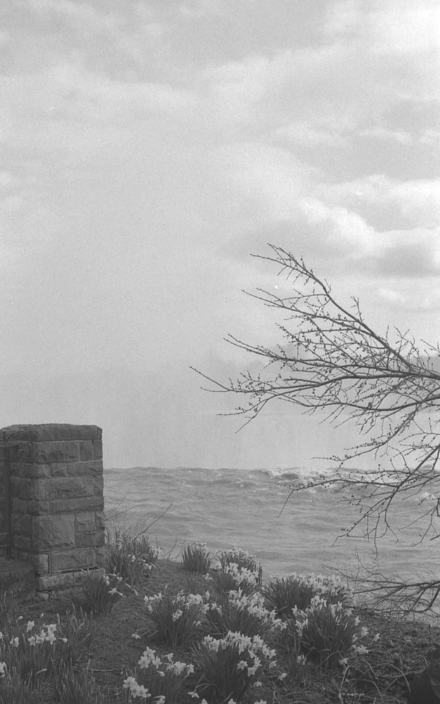 Landscapes — photo 0713