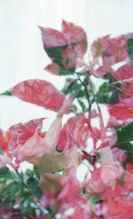 Color & Light photo 0153