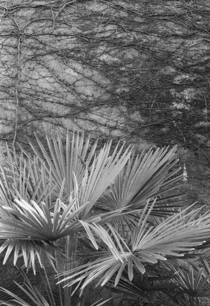 Architecture & Structure — photo 0255