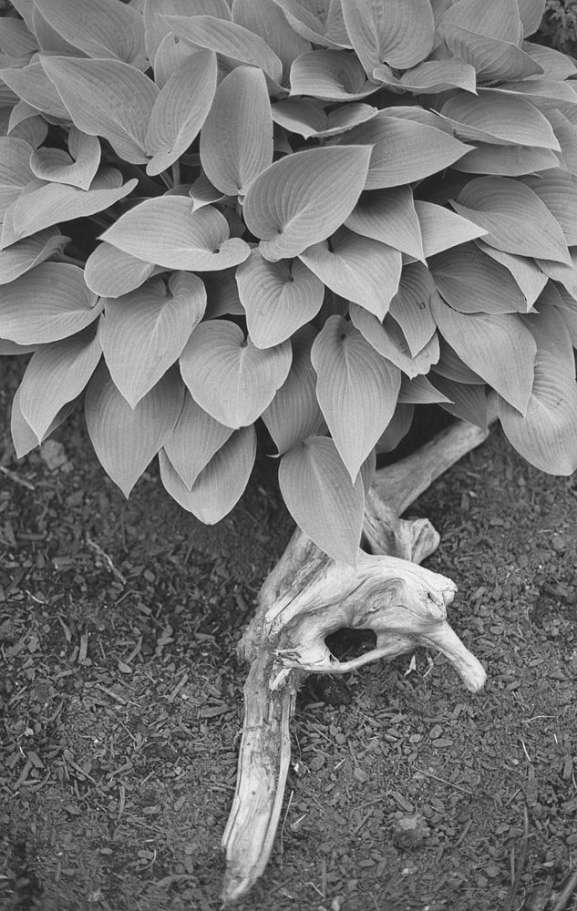 Architecture & Structure — photo 0759