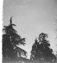 Landscapes & Horizons photo 0578