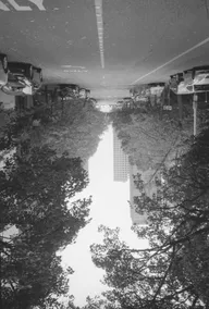 Street & Shadow photo 0870