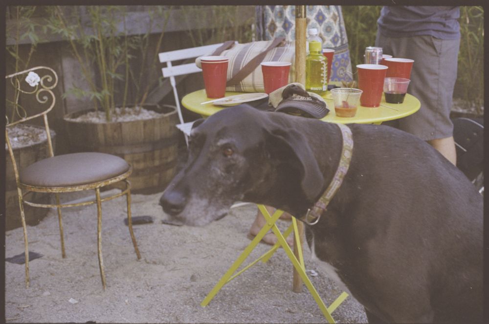 Portraits — photo 0913