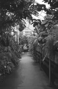 Street & Shadow photo 0641