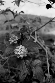 Architecture & Structure photo 0120