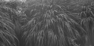 Street & Shadow photo 0623