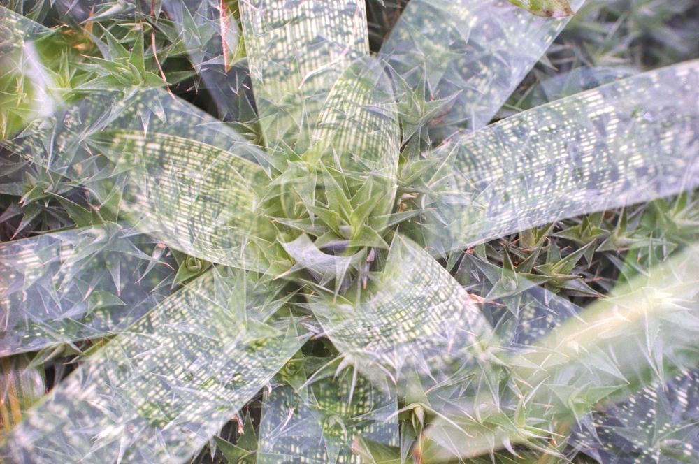 Color & Light — photo 0150
