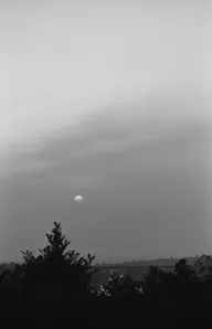 Landscapes & Horizons photo 0185