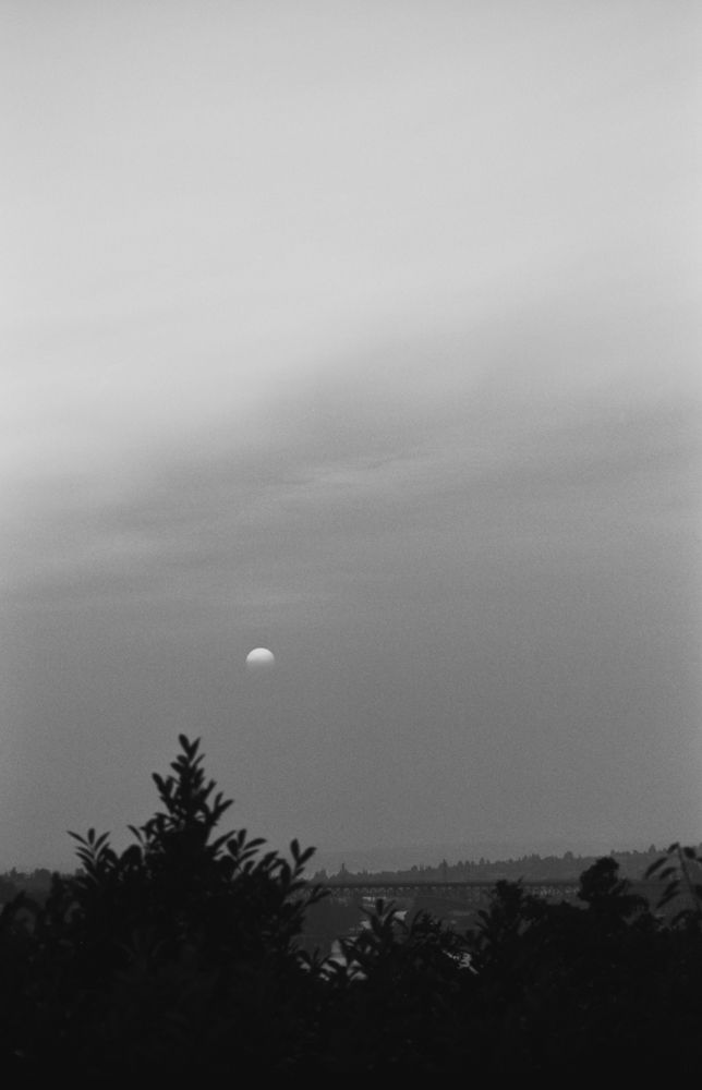 Landscapes — photo 0185