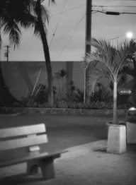 Street & Shadow photo 0879