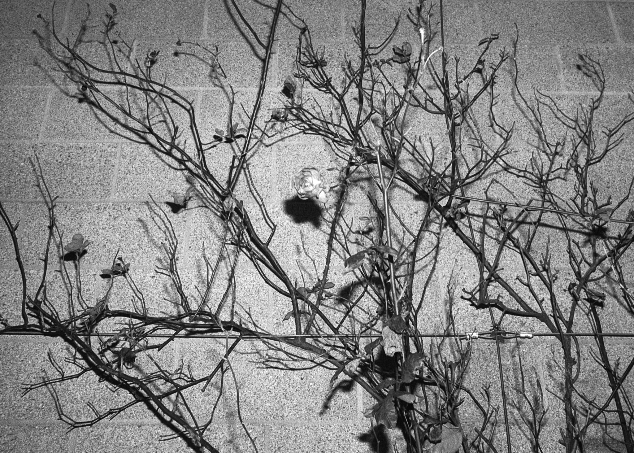Architecture & Structure — photo 0028