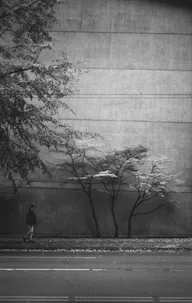 Street & Shadow photo 0863