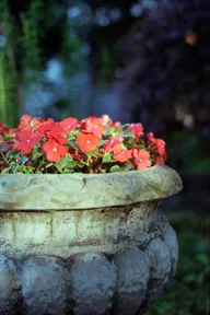 Nature & Botanicals photo 0017