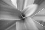 Soft Light & Atmosphere photo 0248