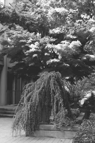 Architecture & Structure photo 0833