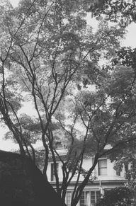 Architecture & Structure photo 0845