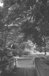 Street & Shadow photo 0625