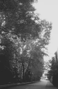 Landscapes & Horizons photo 0506