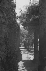 Street & Shadow photo 0181