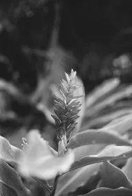 Street & Shadow photo 0875