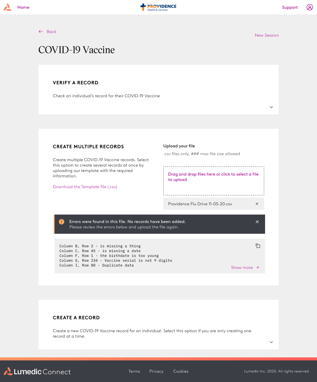 Issuer Dashboard — bulk upload error state, showing row-level validation errors returned from the system before records are committed.