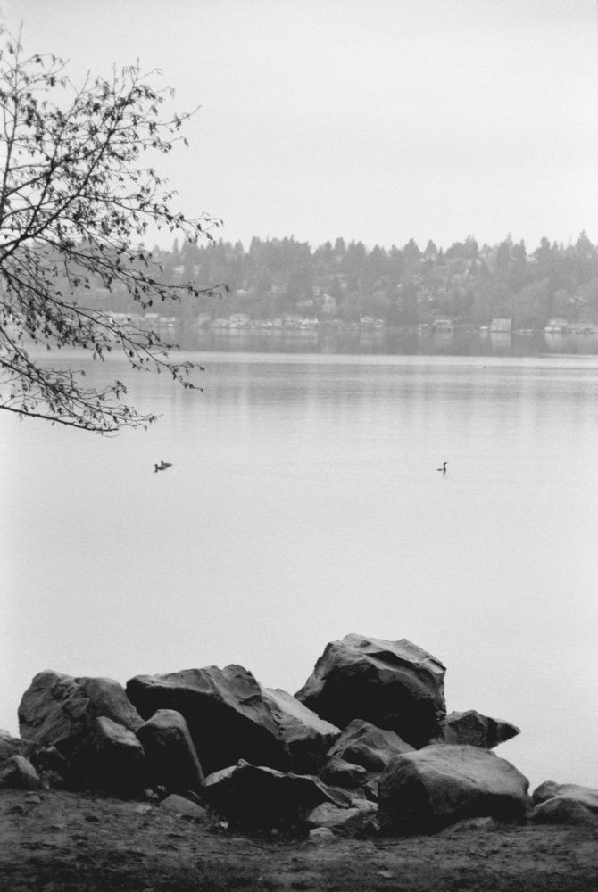 Landscapes — photo 0267
