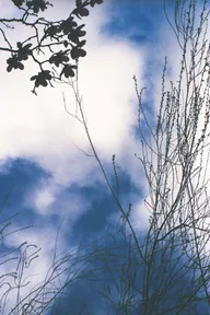 Skies & Waterscapes photo 0315