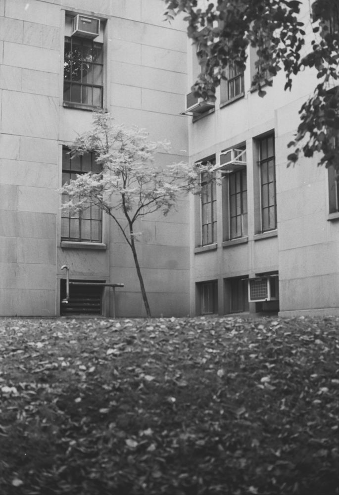 Architecture & Structure — photo 0835