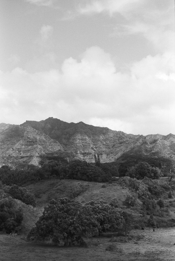 Landscapes — photo 0117