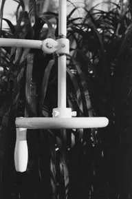 Street & Shadow photo 0257