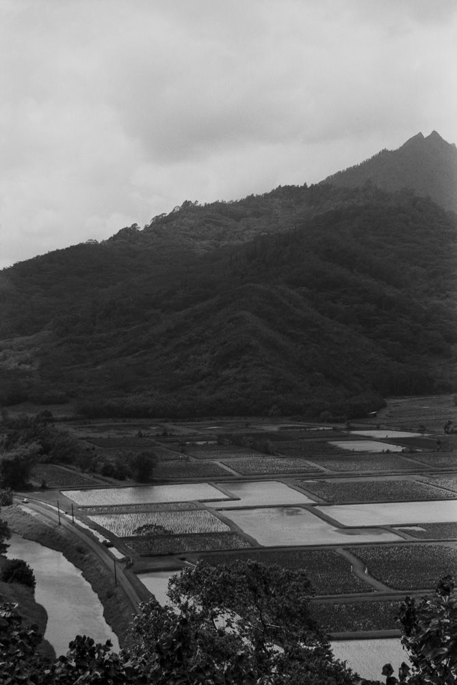 Landscapes — photo 0137