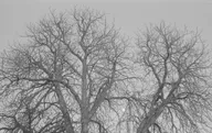 Architecture & Structure photo 0693