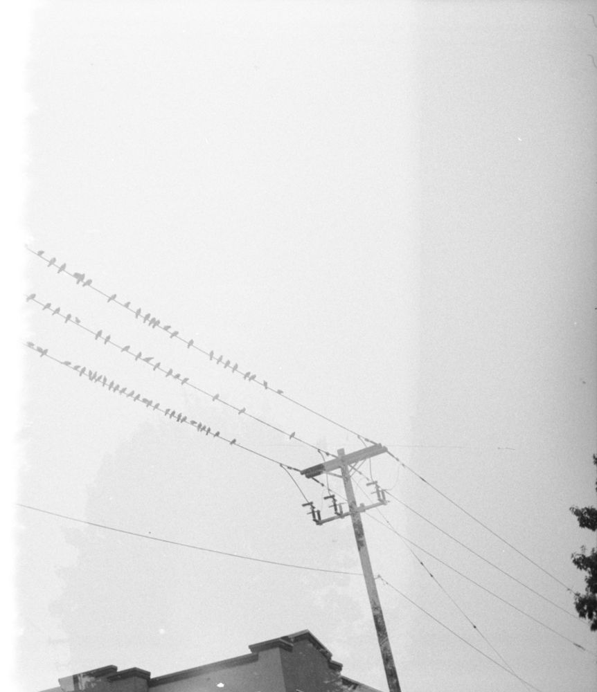 Soft Light & Atmosphere — photo 0864