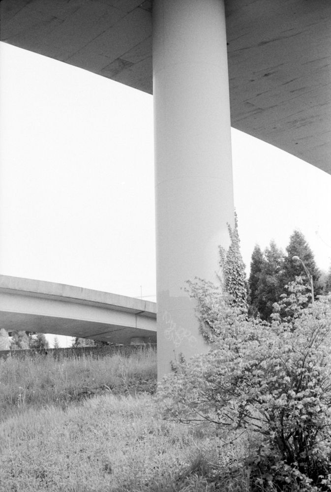 Landscapes — photo 0528