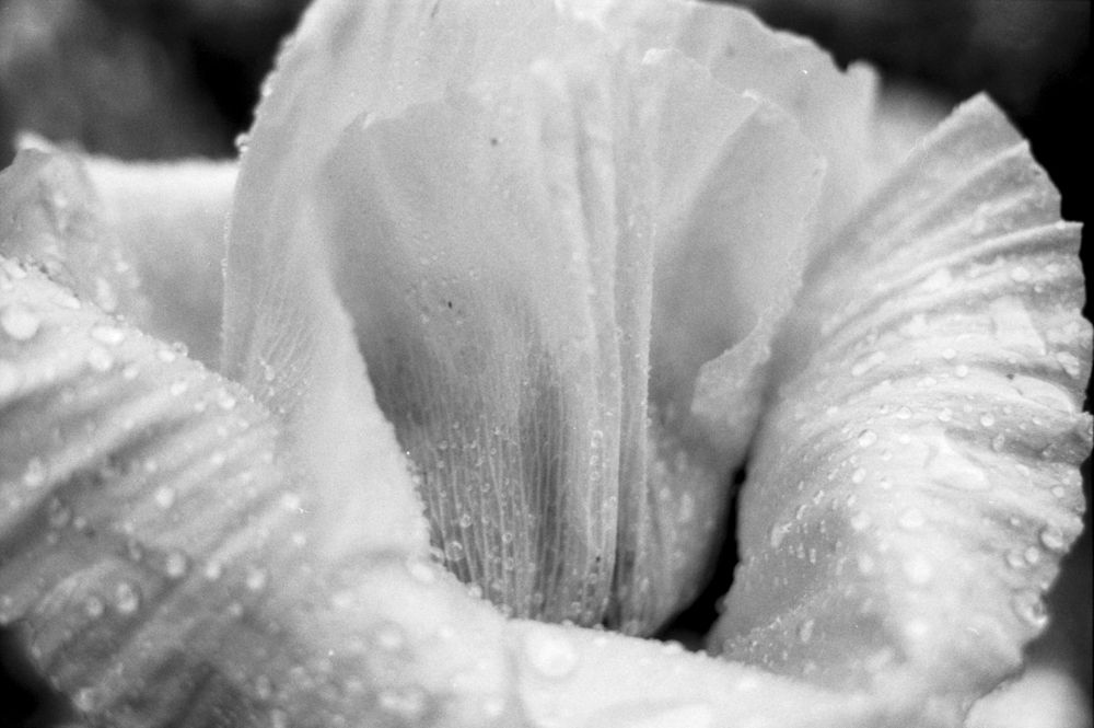 Soft Light & Atmosphere — photo 0648