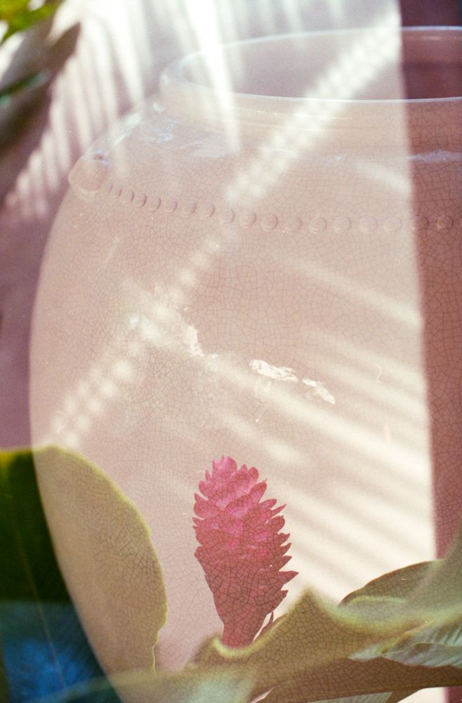 Portraits — photo 0808