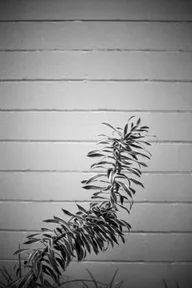 Street & Shadow photo 0119