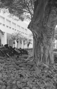 Architecture & Structure photo 0844