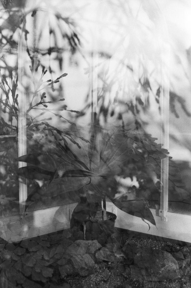 Landscapes — photo 0259