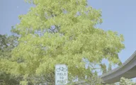 Color & Light photo 0612