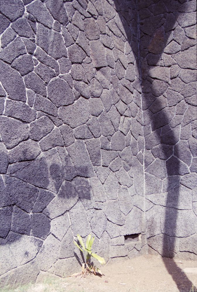 Color & Light — photo 0828