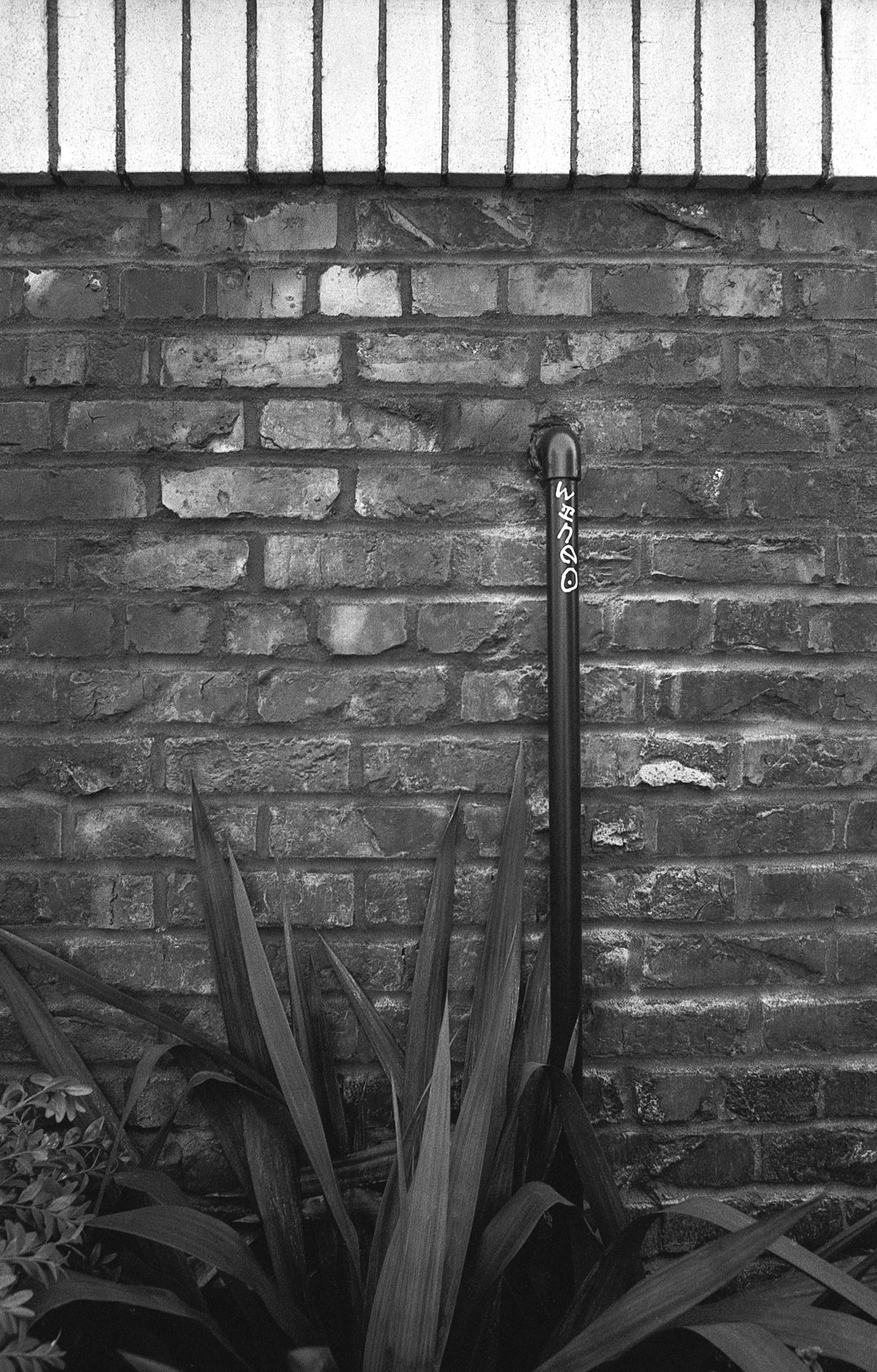 Architecture & Structure — photo 0070