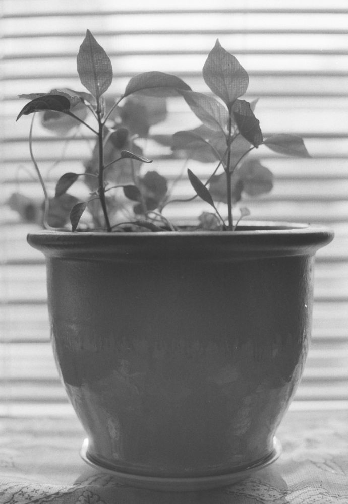 Landscapes — photo 0499