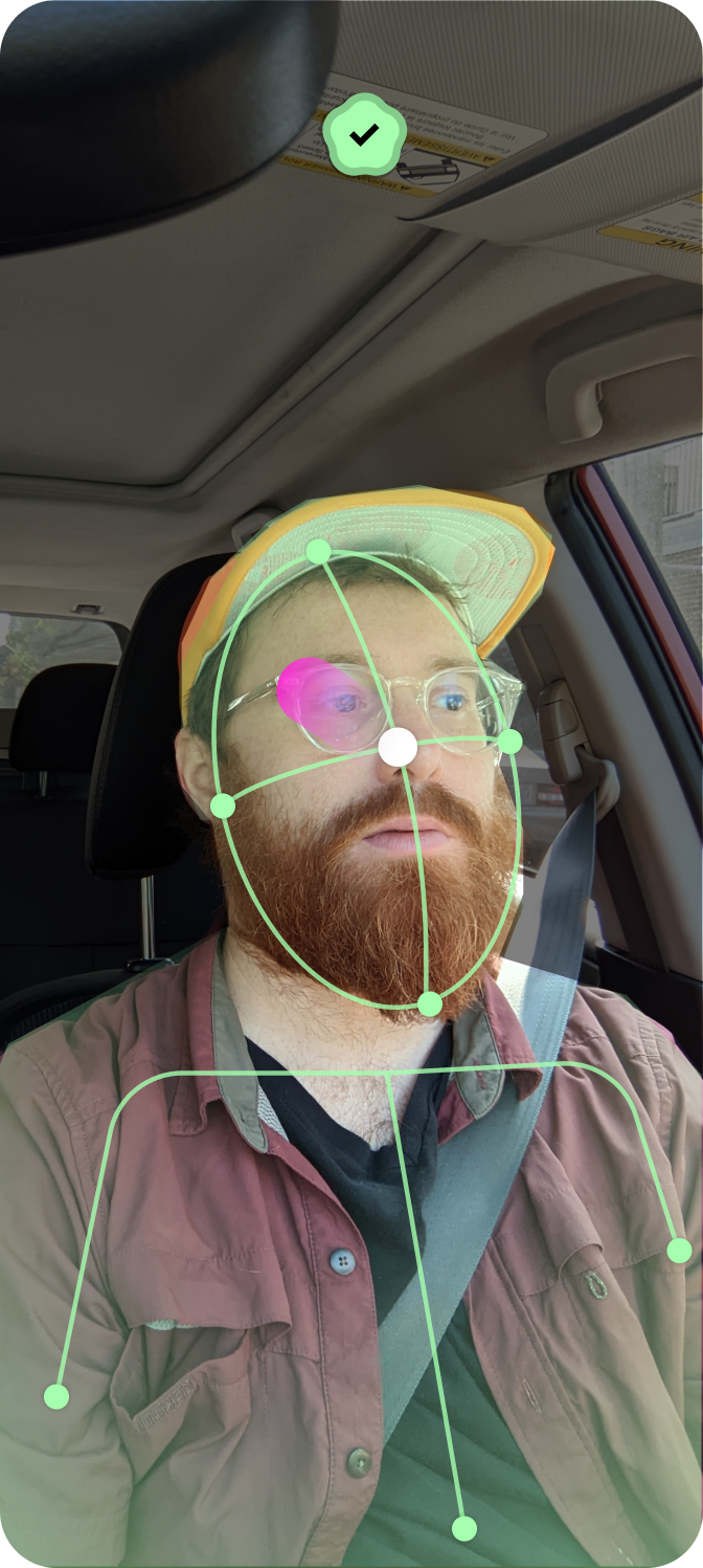 Green landmark rig, accepted pose, facial feature points, ready to apply