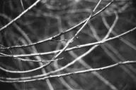 Street & Shadow photo 0456